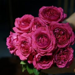 Capability Rose