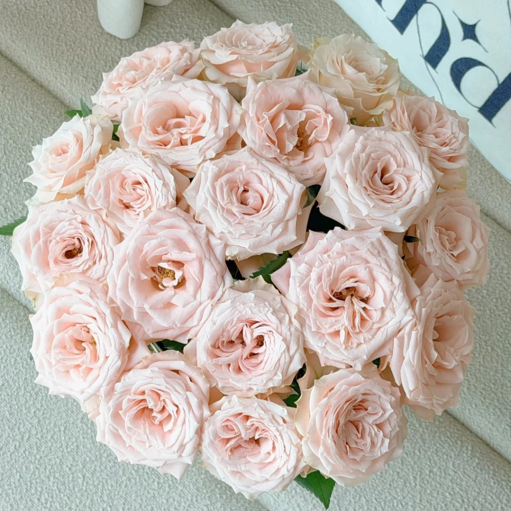 Champagner Rose