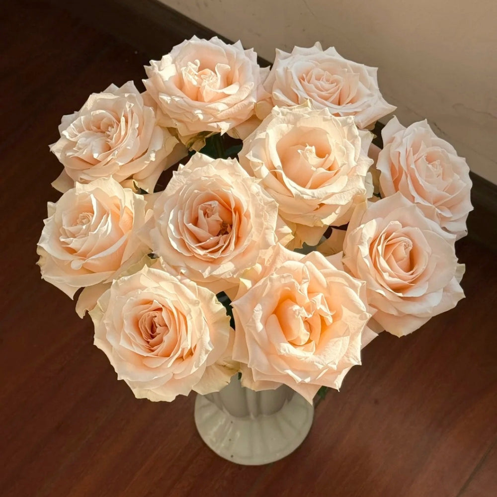 Champagner Rose
