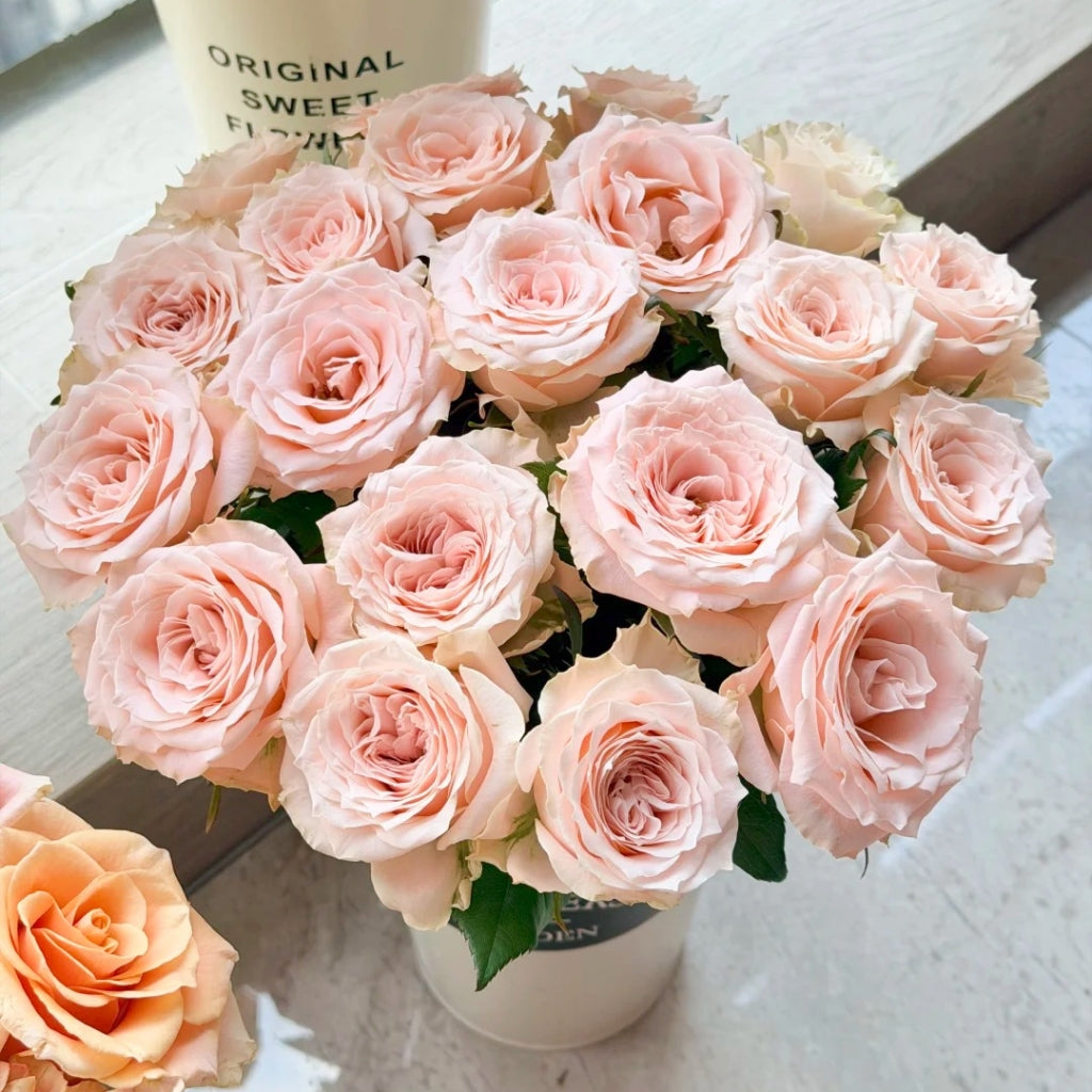 Champagner Rose