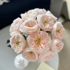 Charity Rose