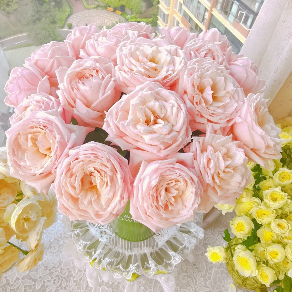 Cherry Antique Rose