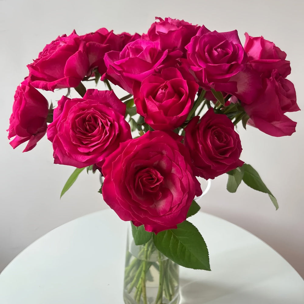 Cherry Avalanche Rose