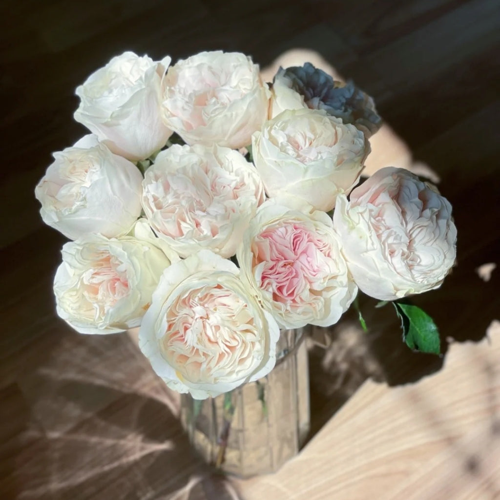 Chiffon Rose