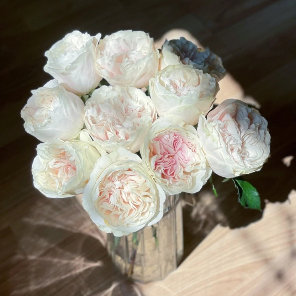 Chiffon Rose