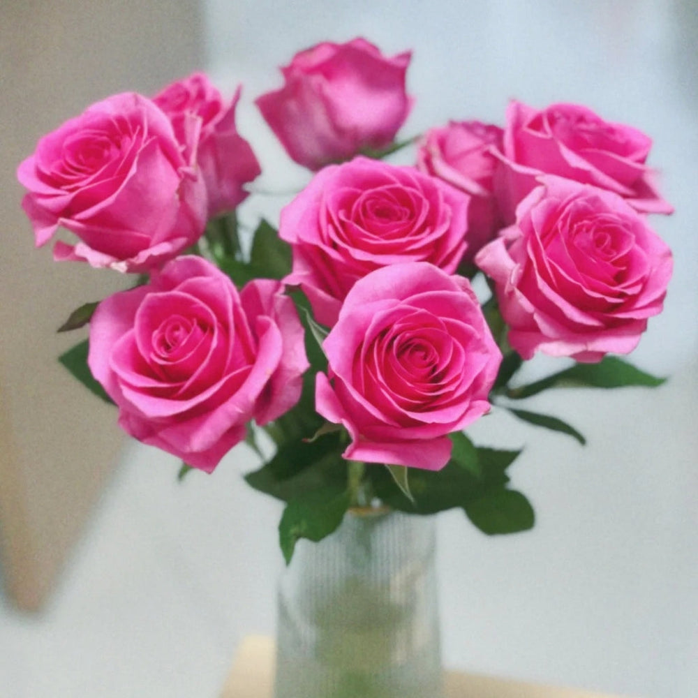 Claire Rose