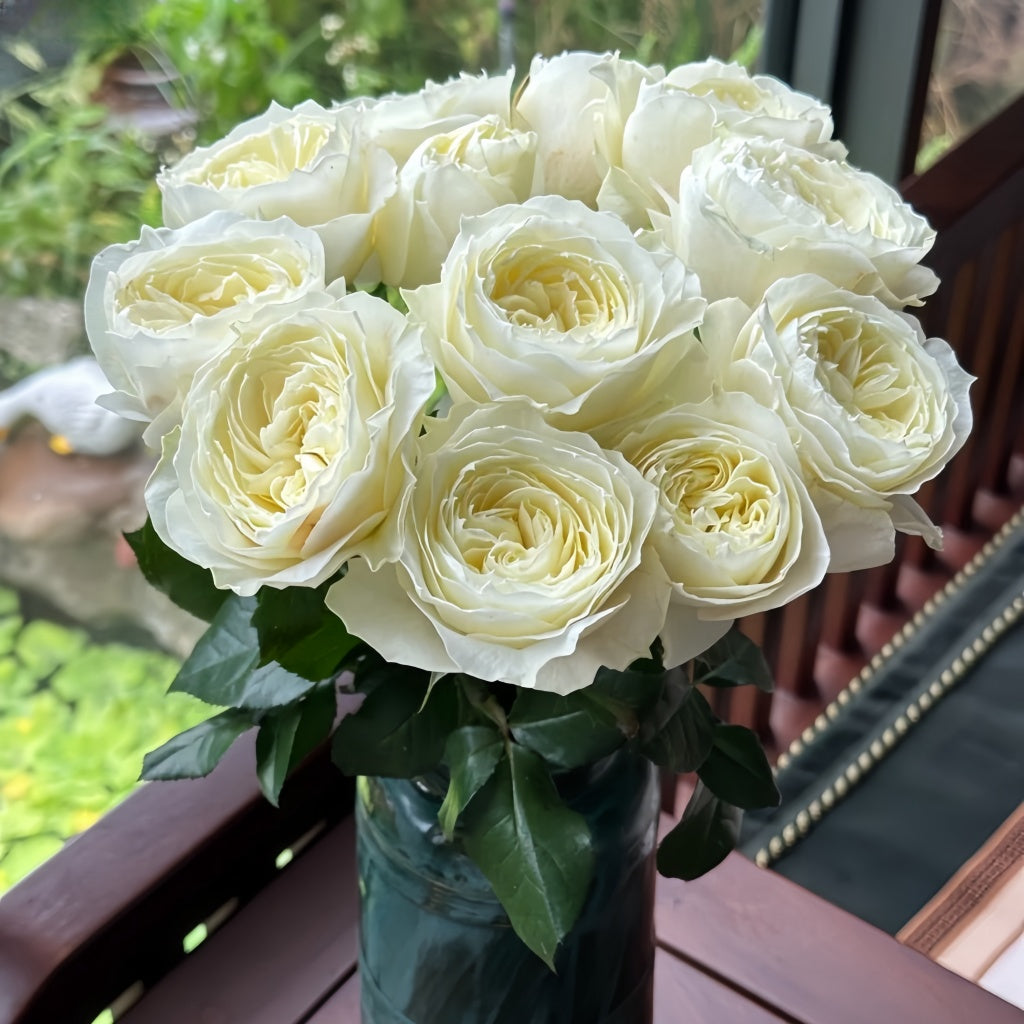 Coldplay Rose