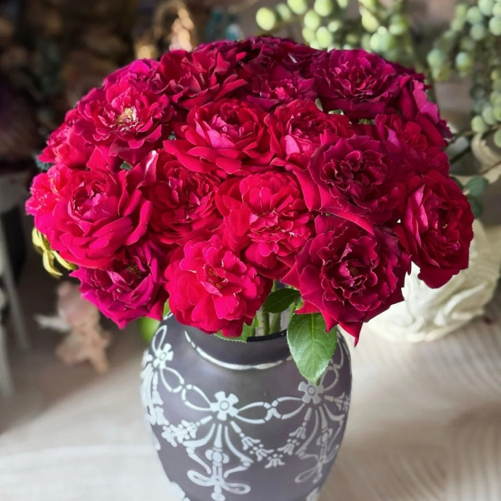 Colline Rouge Rose