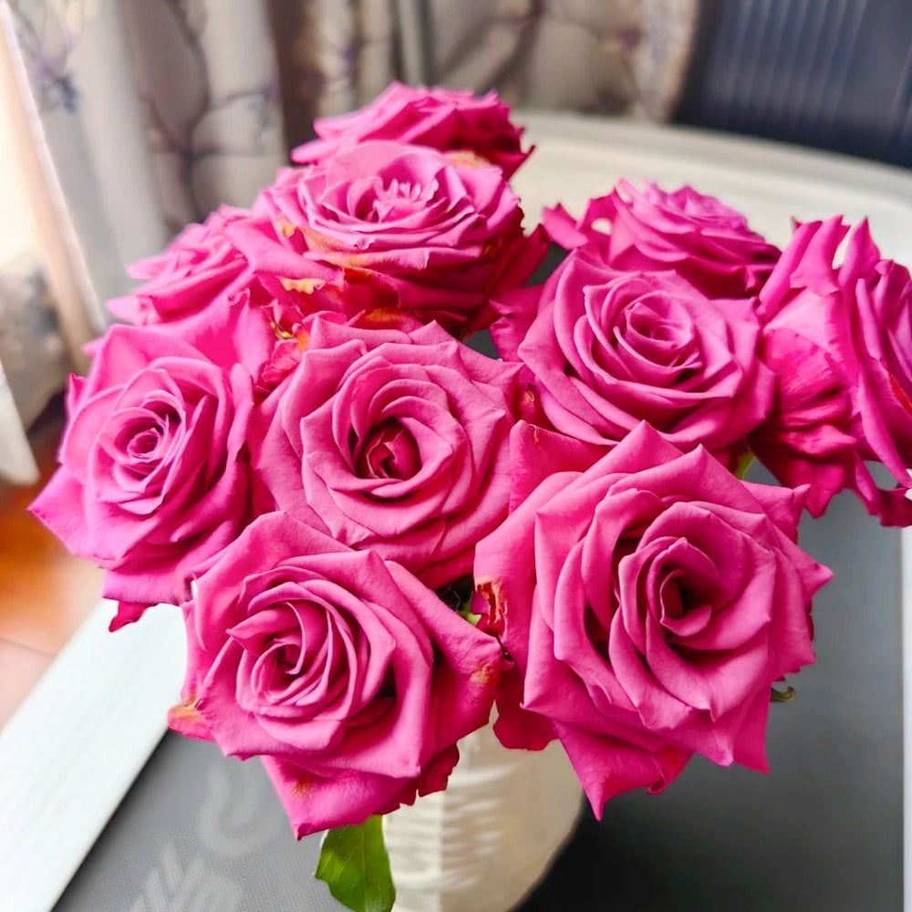 Cool Blue Rose
