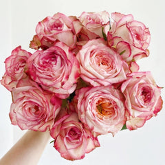 Country Spirit House Rose