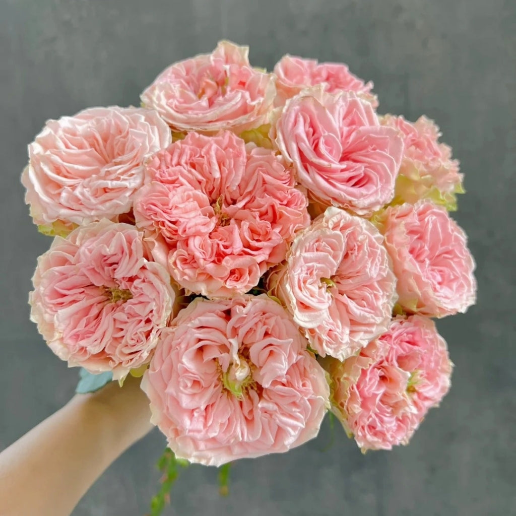 Country Spirit Secret Rose