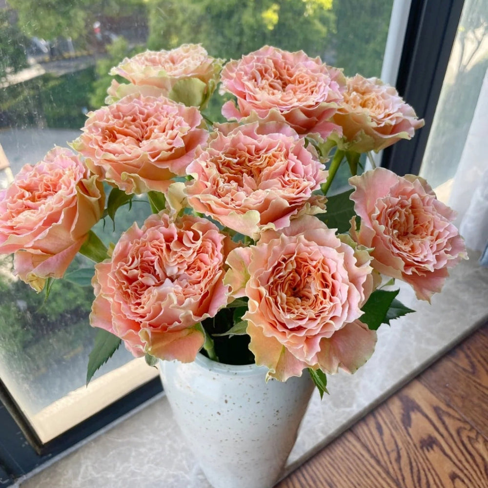 Country Spirit Secret Rose
