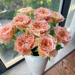Country Spirit Secret Rose