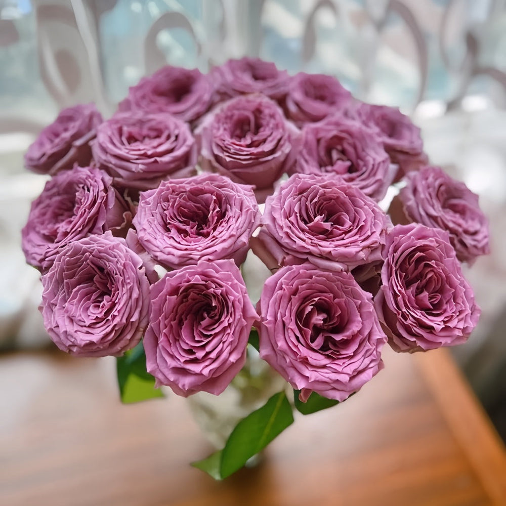 Country Spirit Song Rose