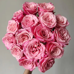 Cranberries Rose