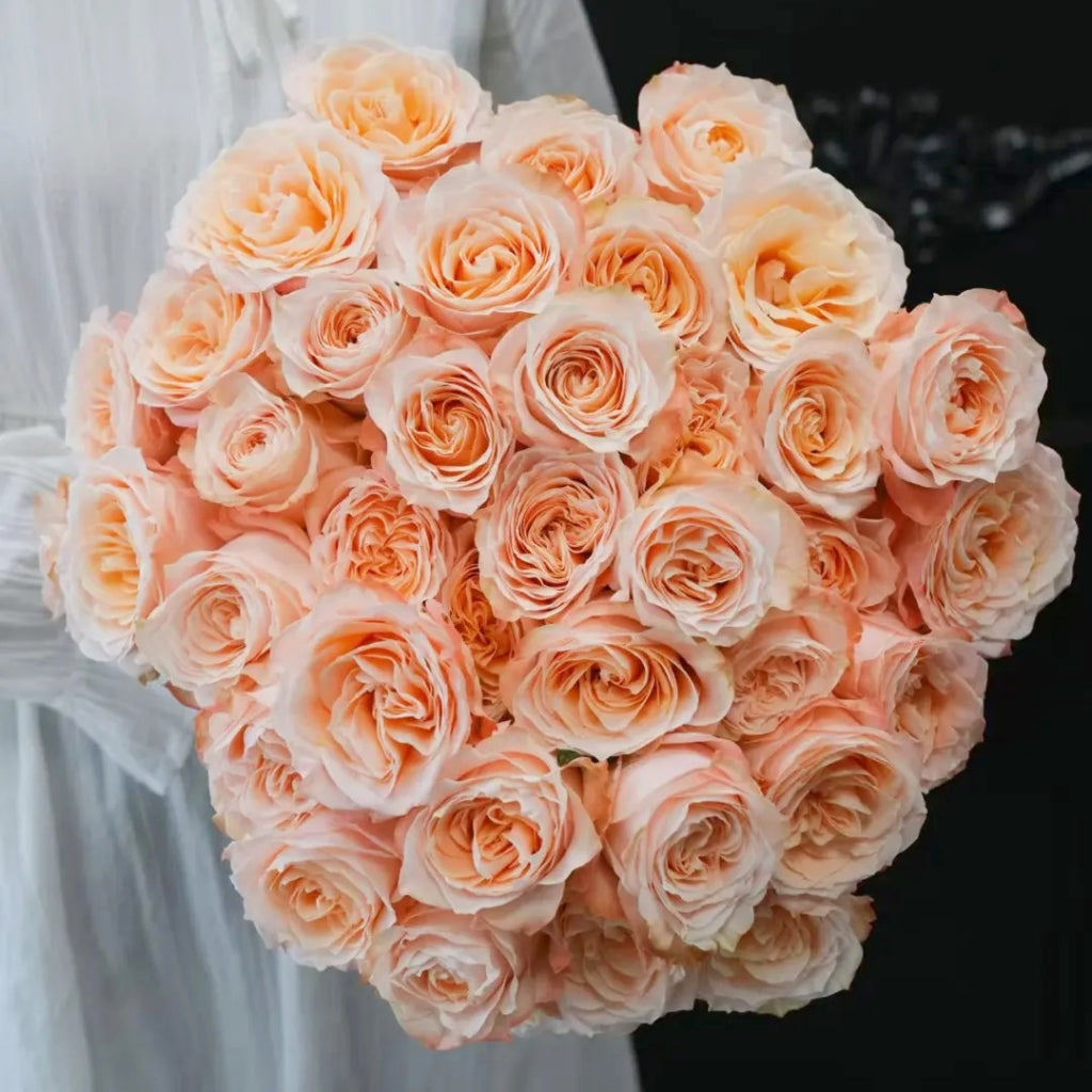 Cream Su Rose