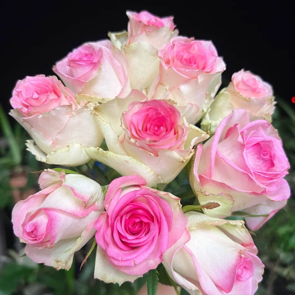 Decoration Rose