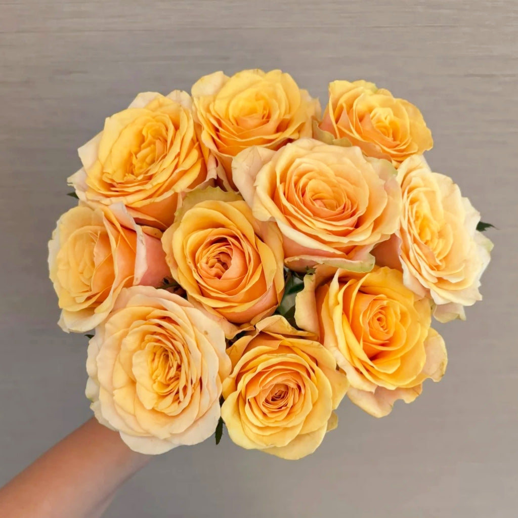 Diwyna Rose