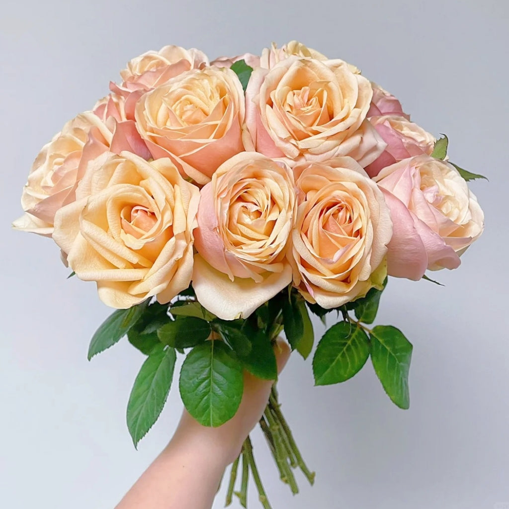 Diwyna Rose