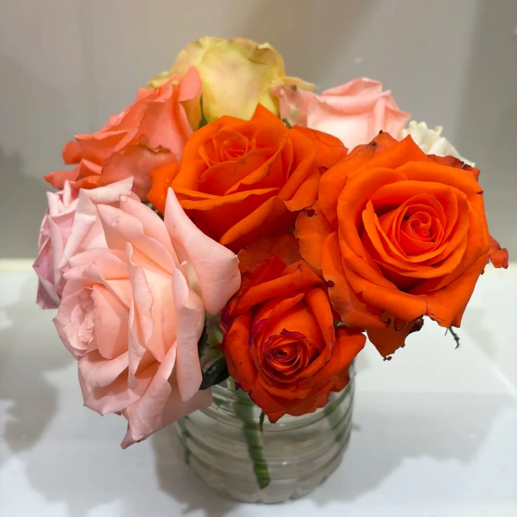 Dragon Tale Rose
