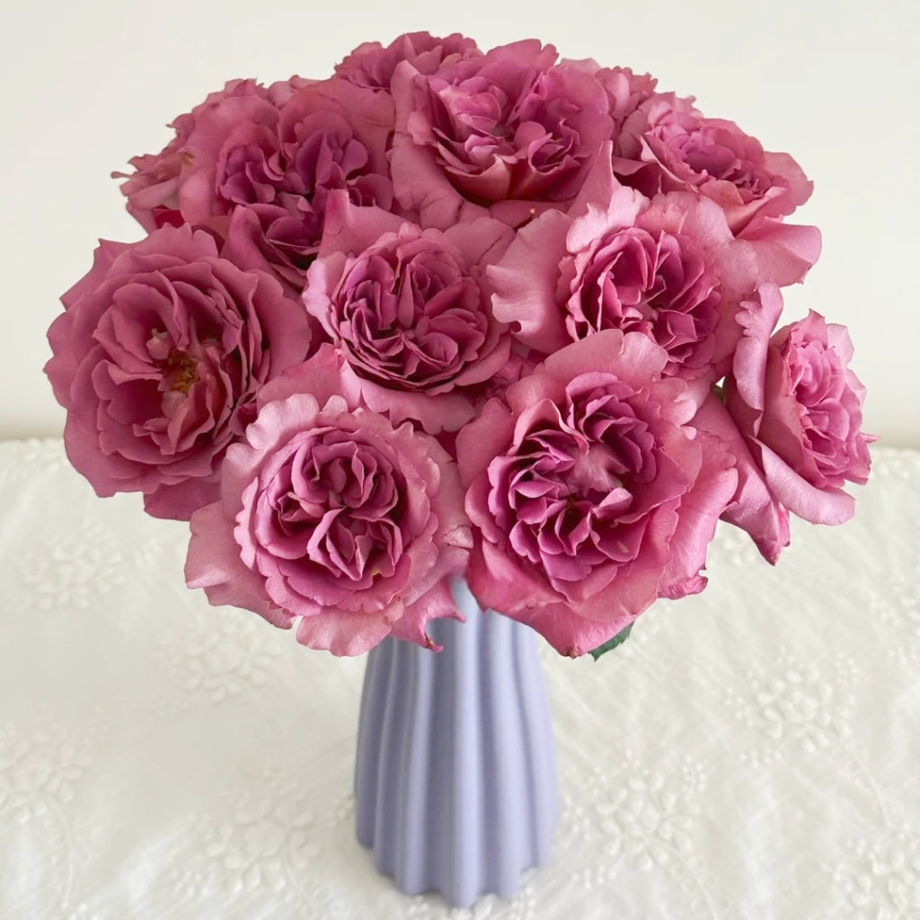 Drape Rose