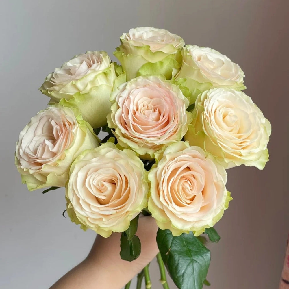 Dynamic Rose