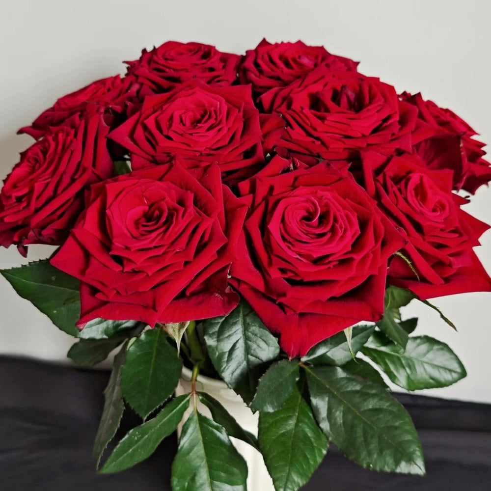 Eastern Secret Realm Rose