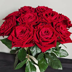 Eastern Secret Realm Rose