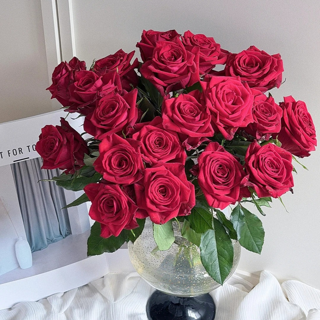 Eastern Secret Realm Rose