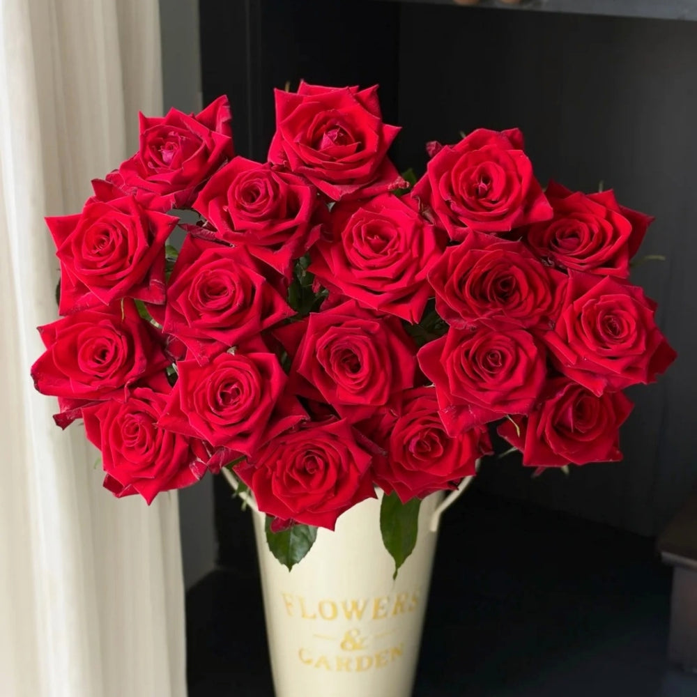 Eastern Secret Realm Rose