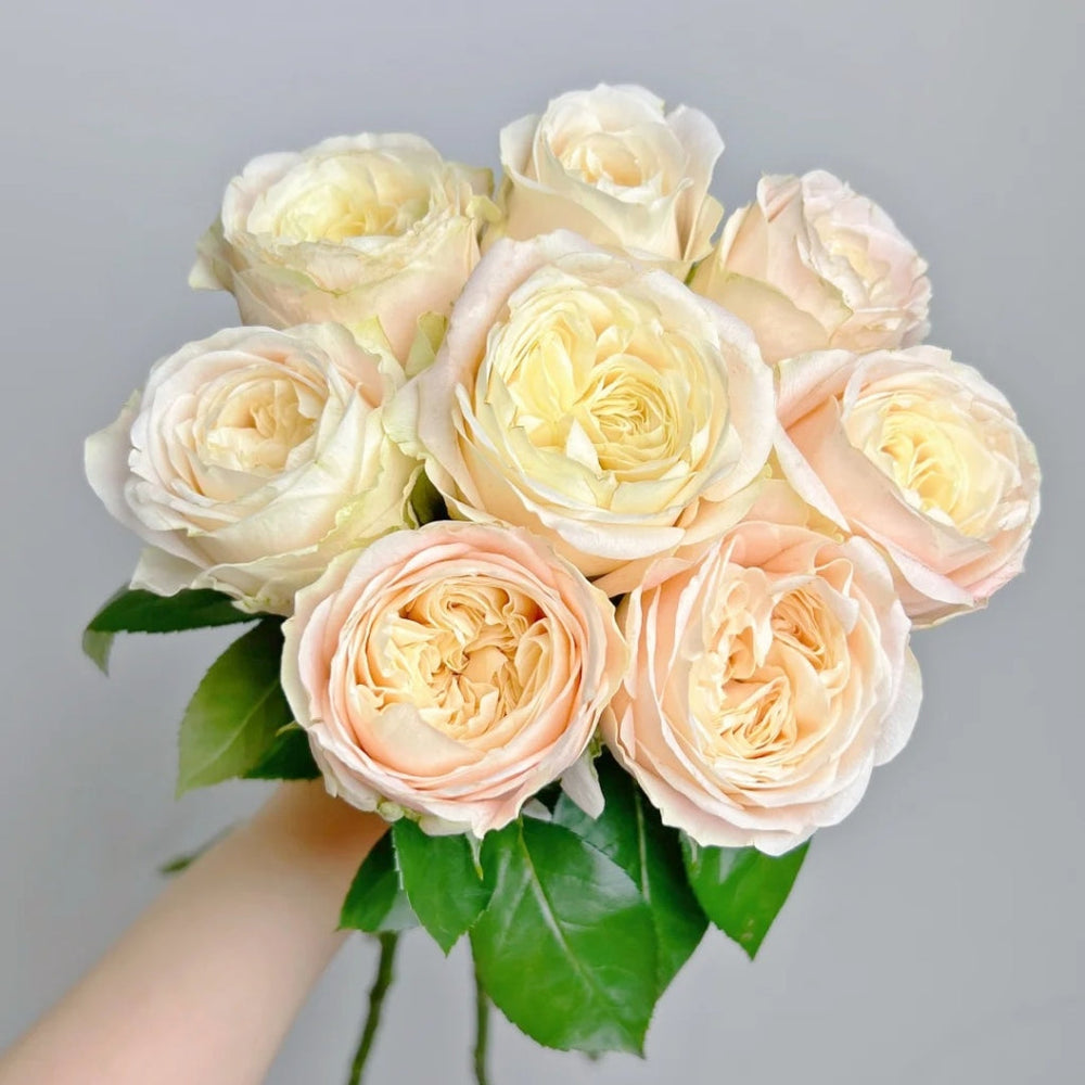 Elroy Rose