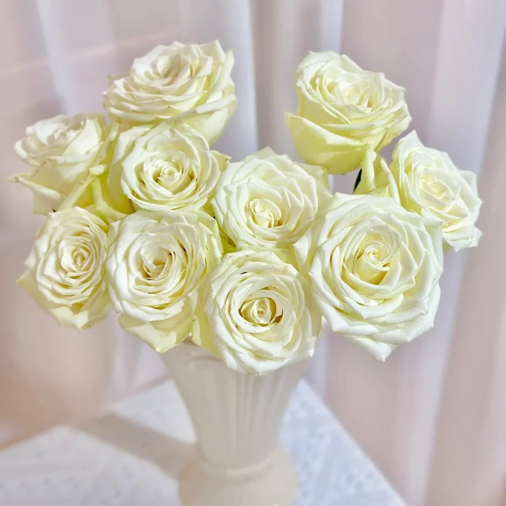 Fairmont Rose