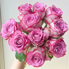 Feiyun Rose