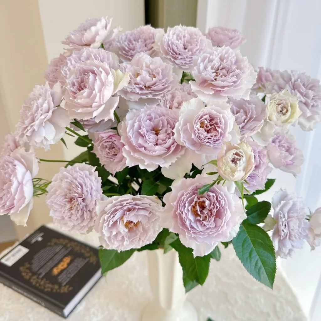 Floating Moon Rose