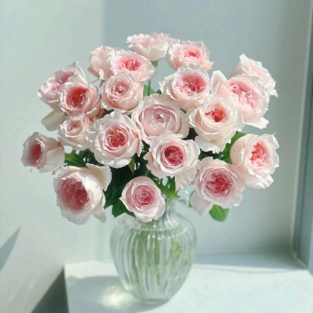 Flow Rose