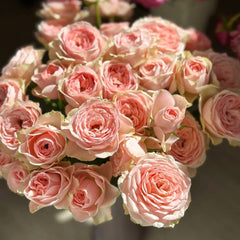 Flower Fairy Rose