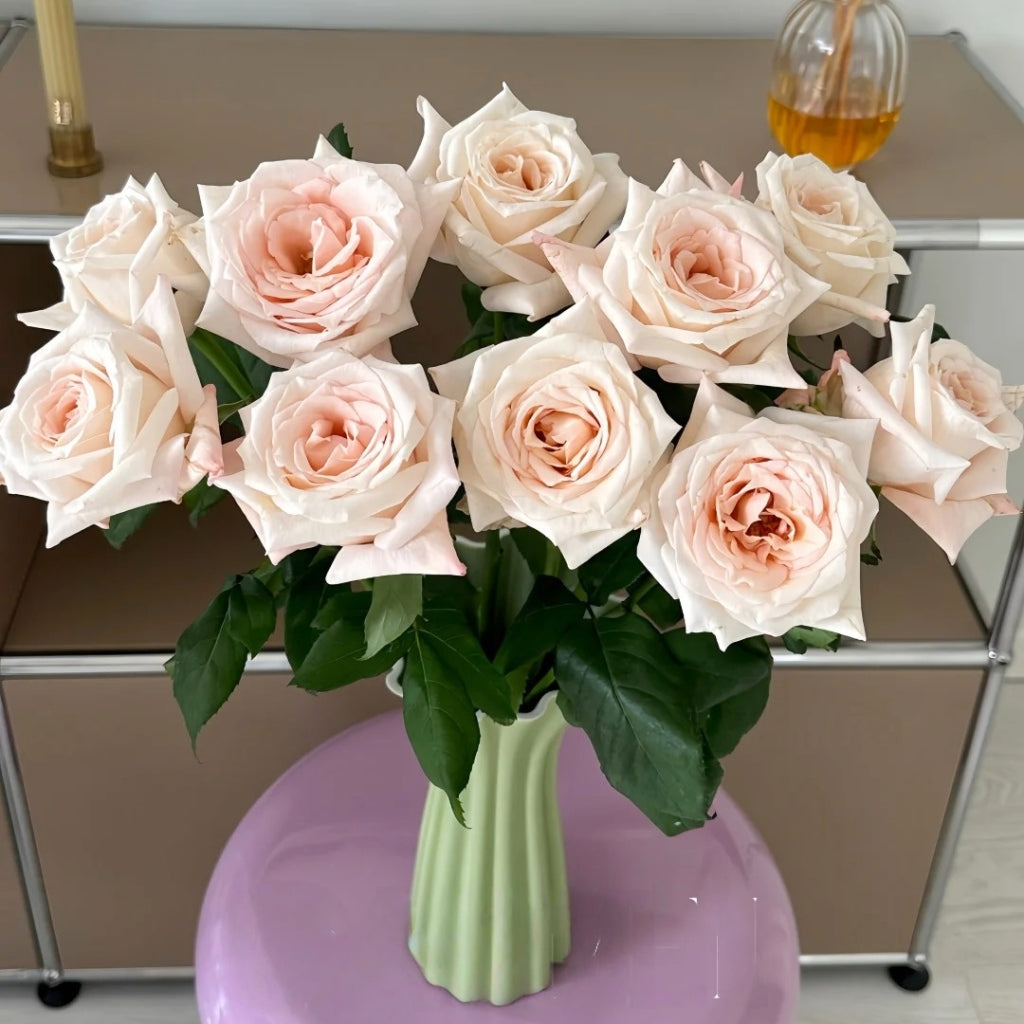 Fruit Aroma Rose
