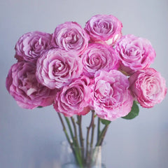 Ginette Rose