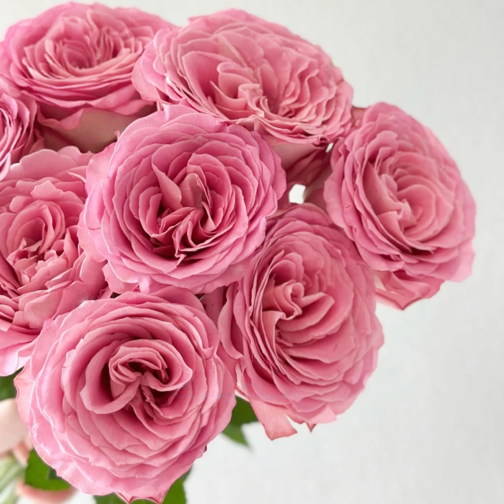 Ginette Rose