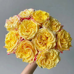 Golden Wave Rose
