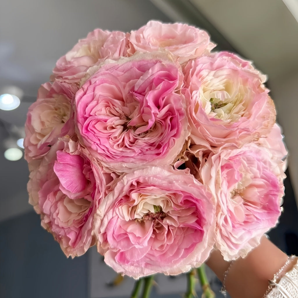 Gossip Girl Rose