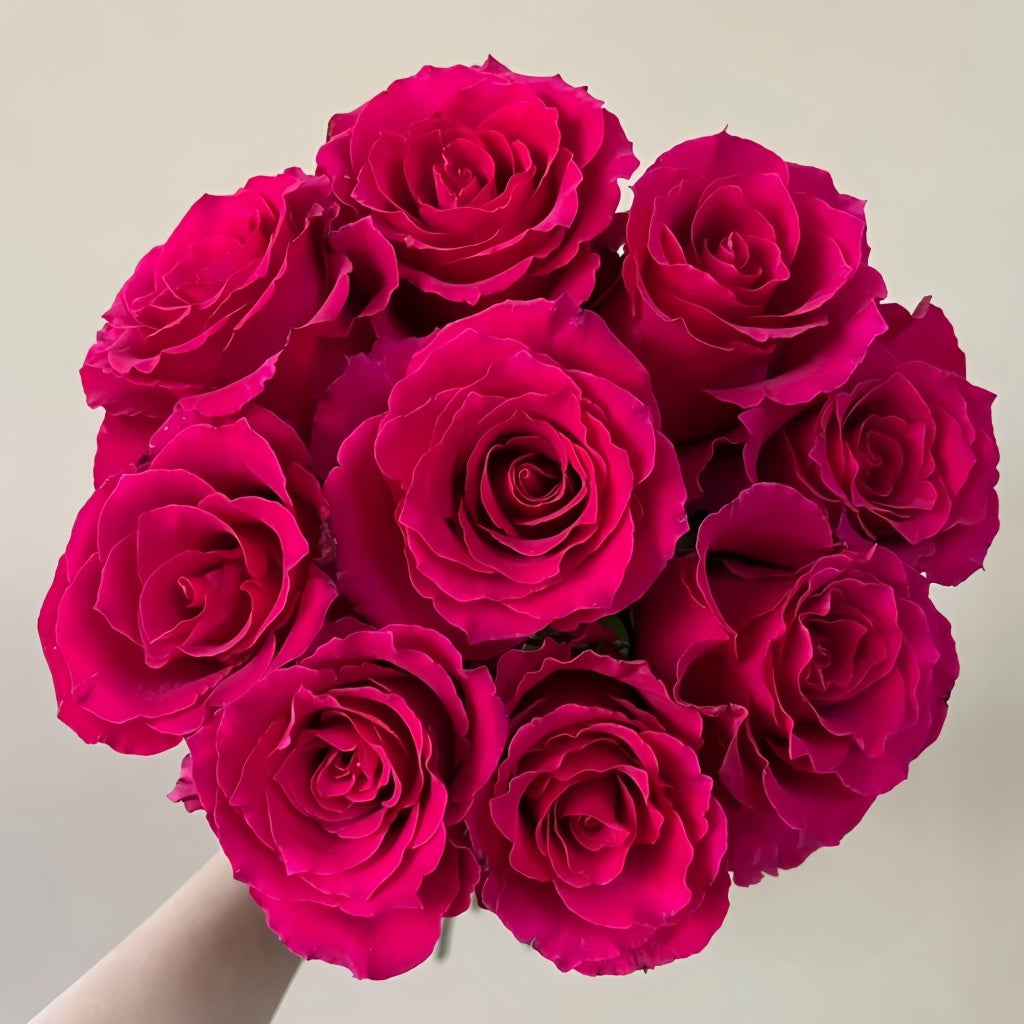 Gotcha Rose