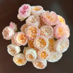 Grandma's Romy Rose