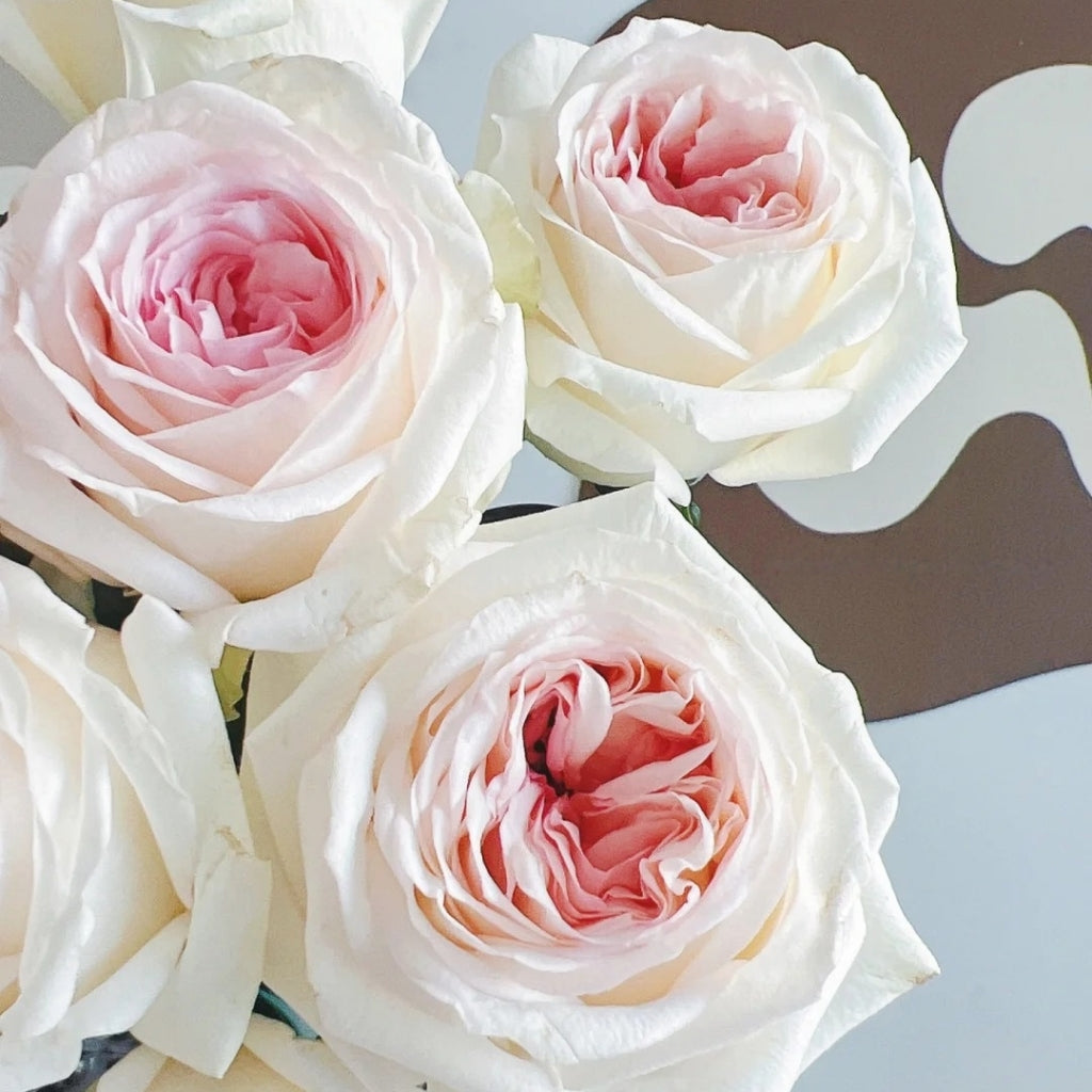 Hanxiang Rose