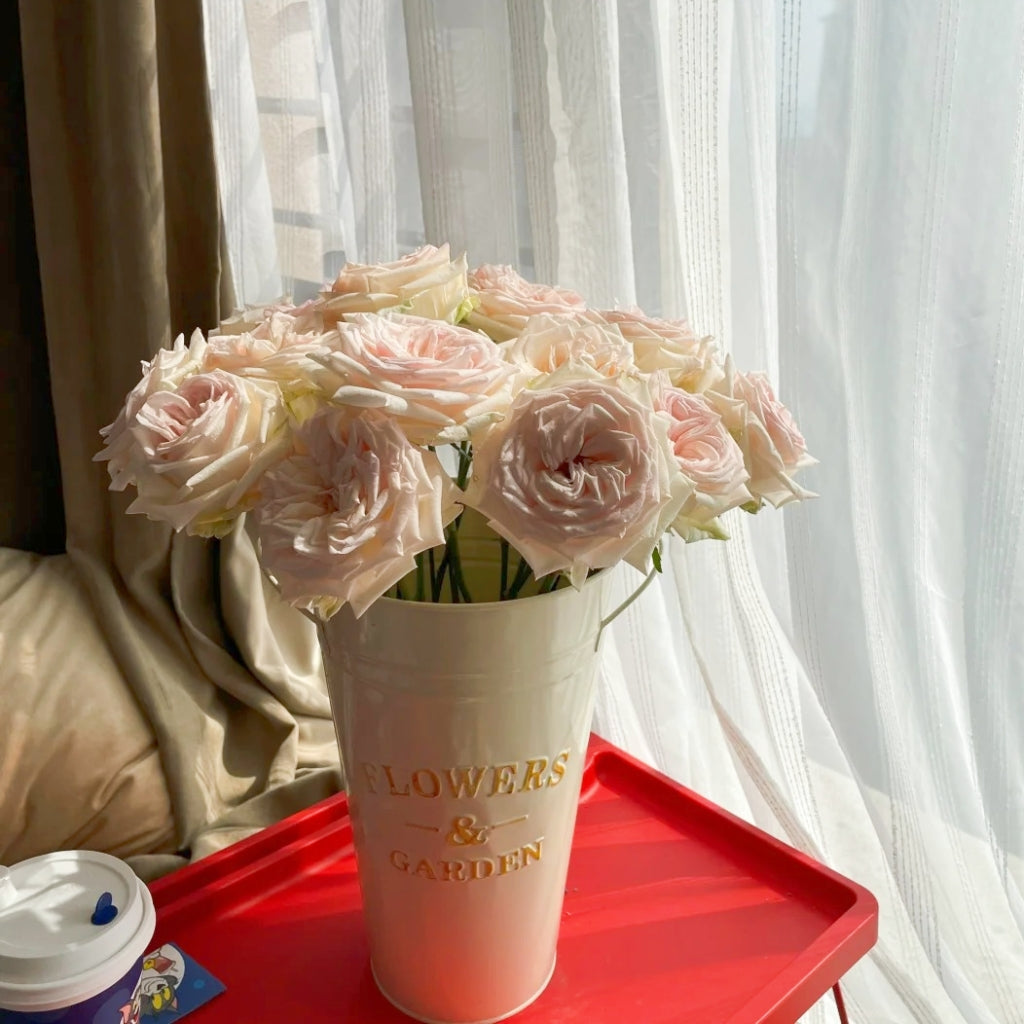 Hanxiang Rose
