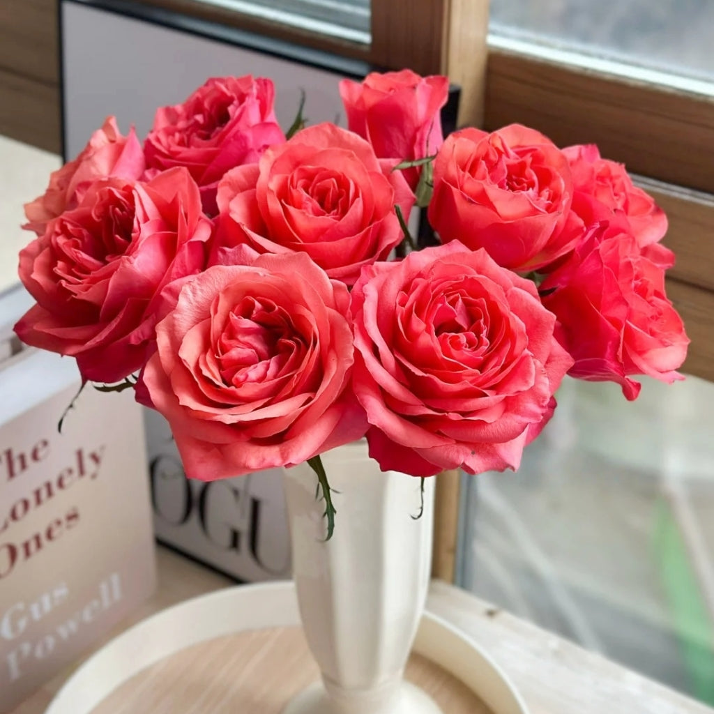 Hard Rock Rose