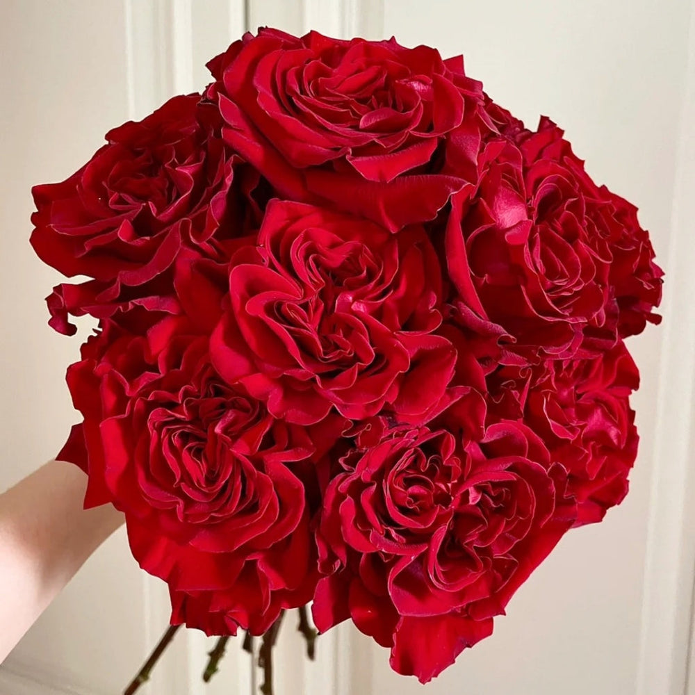 Hearts Rose