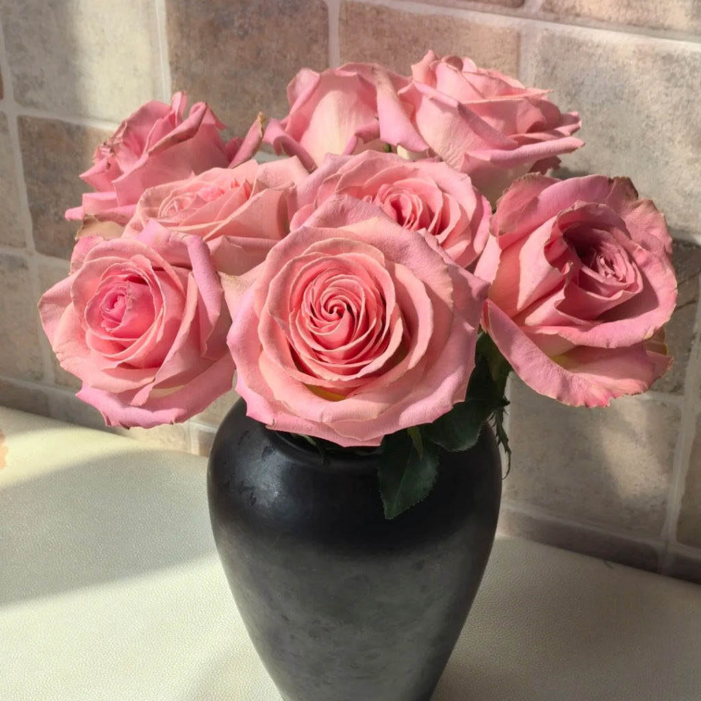 Hermosa Rose
