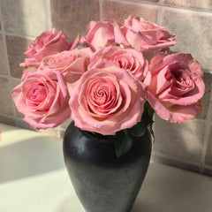 Hermosa Rose
