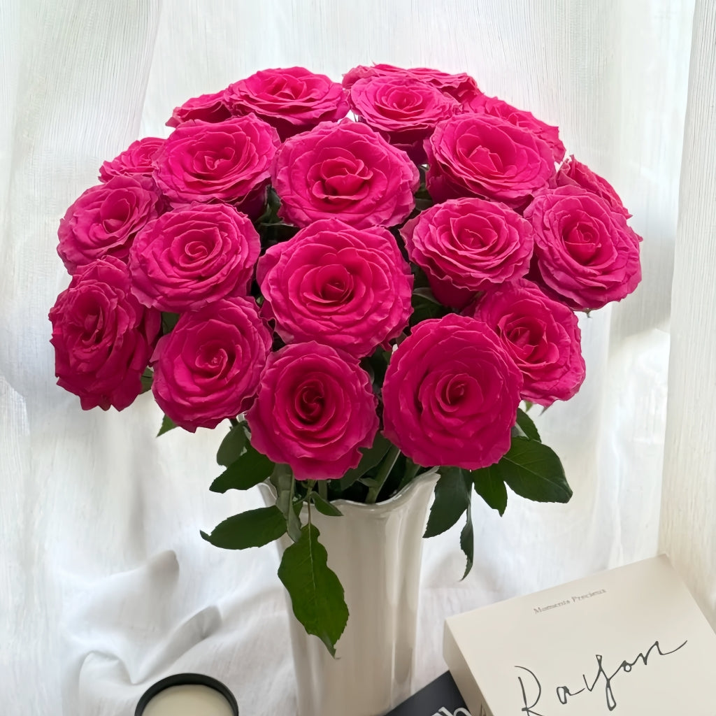 Hotspot Rose